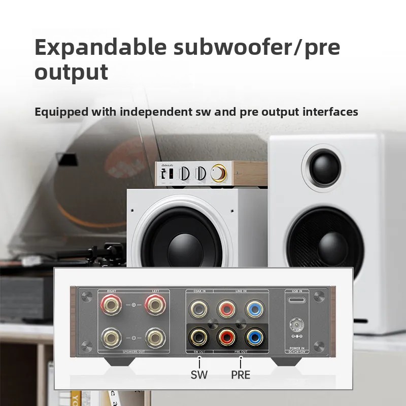 FiiO Horizon Level 1 ハイパワーオーディ - Audio Music System For Home のレビューと価格